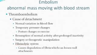 Hemodynamic Disorders [upl. by Katzman]