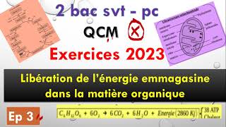 2 bac pc svt exercice 2023 ep 3 libération de lénergie emmagasinée dans la matière organique [upl. by Arob]