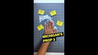 What Michigans Prop 3 means for abortion shorts [upl. by Anahpets]