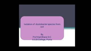 Isolation of Azotobacter species from soil [upl. by Llesirg]