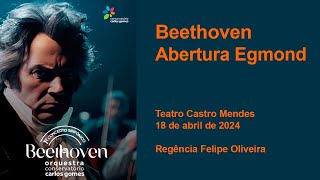 Beethoven  Abertura Egmond [upl. by Enailuj500]