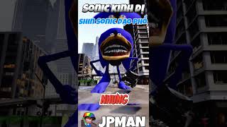 Nhím Shin Sonic Đi Dạo Phố jpman shinsonic sonictapes [upl. by Kyrstin]