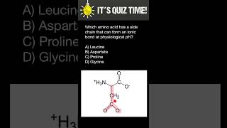 Amino Acid structure [upl. by Yllut418]