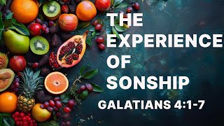 The Experience of Sonship [upl. by Pavlish36]