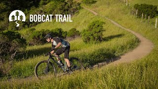 2019 Bobcat Trail [upl. by Genia]