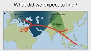 CARTA DNA – Neandertal and Denisovan Genomes Neandertal Genes in Humans Neandertal Interbreeding [upl. by Ailem]