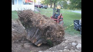 Pulling a Large Maple Stump with a Tractor amp Pulley System [upl. by Florian]