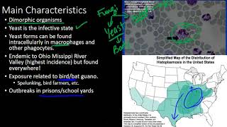 Histoplasmosis [upl. by Birch896]