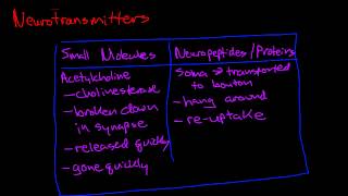 Introduction to Neurotransmitters [upl. by Mosley]