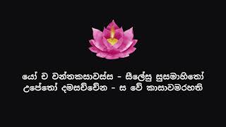 ධම්මපදය  යමක වර්‍ගය 110 [upl. by Emmeline559]