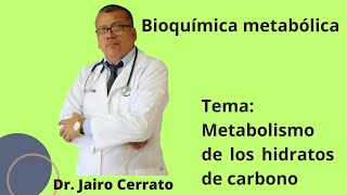 Respiración celular ruta de pentosas fosfato y metabolismo del glucógeno [upl. by Miru]