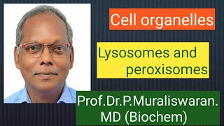 Lysosomes amp Peroxisomes Muralis Simplified Biochemistry [upl. by Sorel]