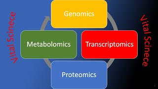 Metabolomics [upl. by Connor]