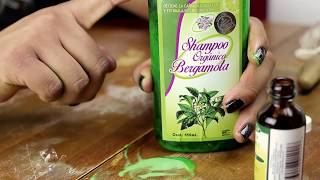 shampoo bergamota tutorial [upl. by Erwin]