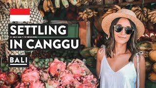 SETTLING IN CANGGU FOR A MONTH  Bali Digital Nomad  Indonesia Travel Vlog [upl. by Tranquada]