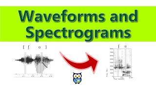 Waveforms and Spectrograms [upl. by Emlyn]