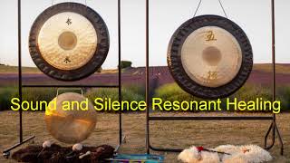 Summertime Gong Sound Bath Meditation 瞑想 [upl. by Eilrebmik566]