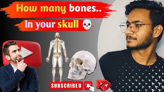 How many bones in your skull without ear ossicles and body [upl. by Nykal]