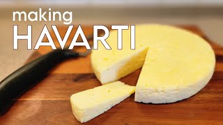 Cheesemaking 101 Make Your Own Fresh Havarti at Home [upl. by Calloway]