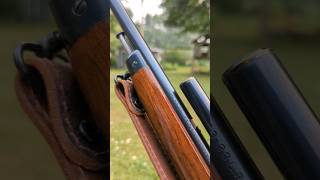 Perfect Plinker  GunBroker Find  Winchester 63  22LR [upl. by Gyatt]