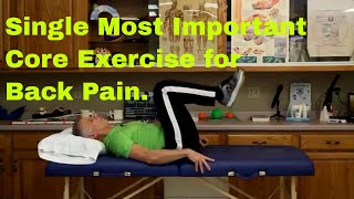 Single Most Important Core Exercise For Back Pain [upl. by Swarts871]