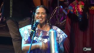 Lila Downs  Cariñito  200223 [upl. by Ayahsal]