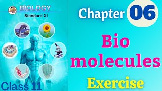 Biomolecules class 11 biology chapter 6 exercise solutions [upl. by Shea]