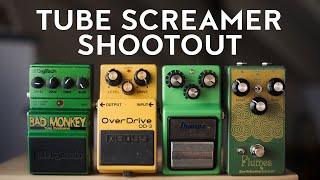 Tube Screamer Shootout Ibanez TS9 EarthQuaker Devices Plumes Boss OD3 Digitech Bad Monkey [upl. by Prisca335]