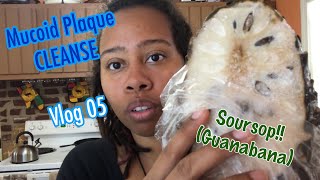 Mucus Free Diet  Soursop amp Calzones [upl. by Seibold333]