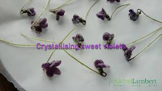 Crystallising Sweet Violet Flowers [upl. by Aarika]