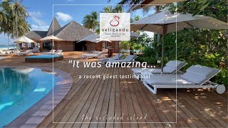 Guest Testimonial at Veligandu Island Resort amp Spa Maldives [upl. by Aradnahc93]