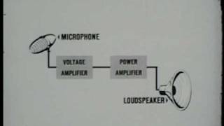 BASIC AMPLIFIERS [upl. by Drue]