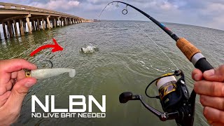 Fishing for Speckled Trout with NLBN Lures [upl. by Chip]