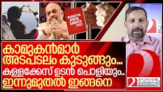 പുതിയ ക്രിമിനൽ നിയമങ്ങൾ ഇന്നുമുതൽ സംഭവിക്കുന്നത് I About bharatiya nyaya sanhita [upl. by Eiznikcm]