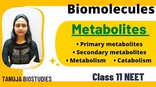 Biomolecules  Primary amp Secondary metabolites  Catabolism amp Anabolism  Class 11 BiologyNEET [upl. by Vickie]