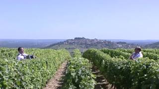 Vendanges en Sancerrois par l Orchestre Dominique et Stéphanie FLOQUET [upl. by Lalib]