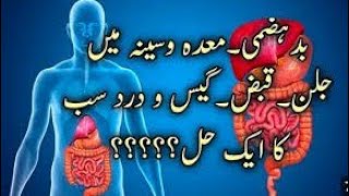 How To Treat Stomach Gas Permanently  Pait Ki Gas Ka ilaj [upl. by Agnola]