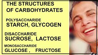 What are Carbohydrates Classification Of Carbohydrates And Its Structure [upl. by Avner]