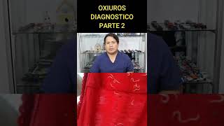 OXIUROS DIAGNOSTICO  PARTE 2 [upl. by Gilchrist]