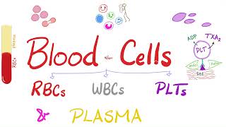 Plasma and Blood Cells RBCs WBCs and Platelets  Hematology and Physiology [upl. by Denyse]