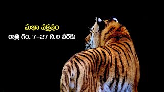 23112024 Saturday Neti Panchangam నేటి పంచాంగం  Sukheebhava [upl. by Gnat]