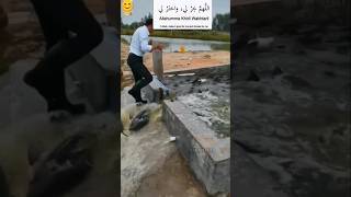 viralvideos 😊islamic video Mashallah nerw business shuru karne se pehle ❤ [upl. by Edwine181]