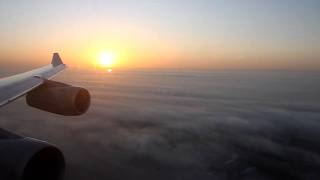 Magic Moments  Lufthansa A340300 Landing In Foggy Sunrise November 28th 2011 [upl. by Aitnauq]