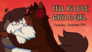 Fell In Love With A Girl  Dovewing x Briarlight Mini PMV [upl. by Arber]