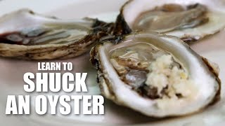 How to Shuck an Oyster  AWE SHUCKS [upl. by Nwahsel]