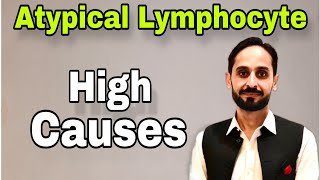 Atypical Lymphocytes  What is Atypical Lymphocyte  High Atypical Lymphocytes Causes [upl. by Ayhtin]