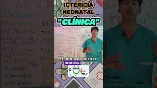 ICTERICIA NEONATAL SÍNTOMAS  GuiaMed pediatria medicina ictericia [upl. by Jessika]