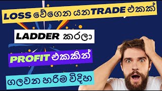 ladder buy explain  Reentry  Loss යන trade Profit කරවමු  Binance sinhala  Ladder කිරීම සරලව [upl. by Cid]