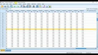 SPSS Tablolarından Sadece Birini APA Formatına Dönüştürme [upl. by Enomor996]