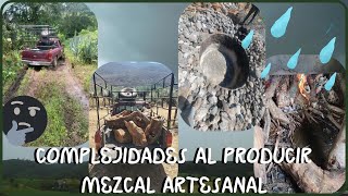 Complejidades en la producción artesanal de mezcal [upl. by Berty]